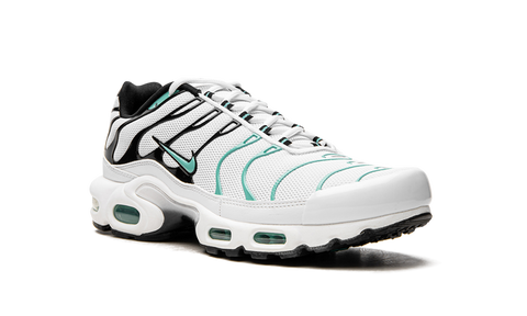 Nike Air Max Plus Atmos