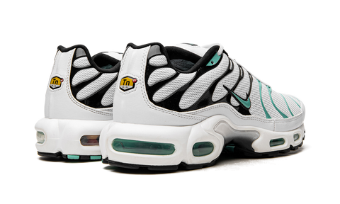 Nike Air Max Plus Atmos