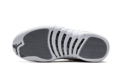 Jordan 12 Stealth