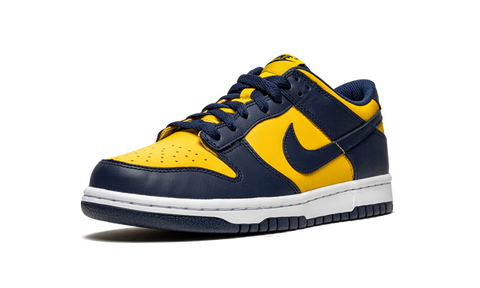 Nike Dunk Low Michigan