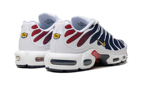 Air Max TN Plus PSG