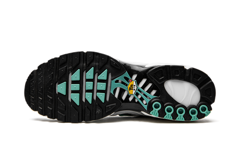 Nike Air Max Plus Atmos