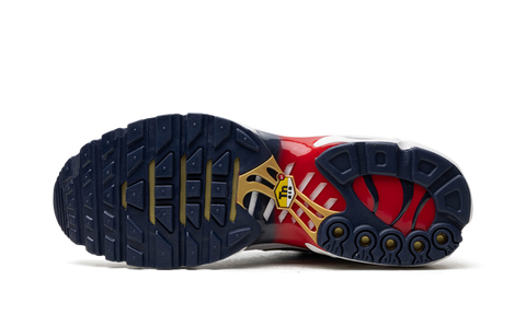 Air Max TN Plus PSG