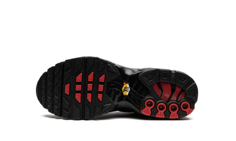 Nike Air Max Plus