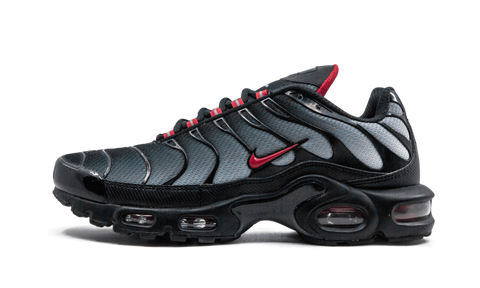 Nike Air Max Plus Blue and Red