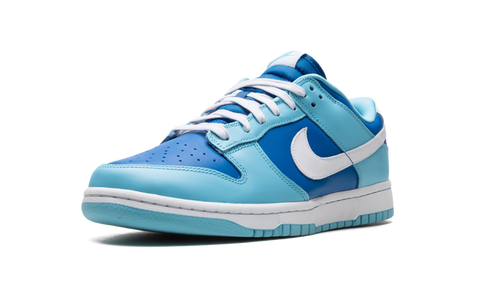 Nike Dunk Low Retro Argon