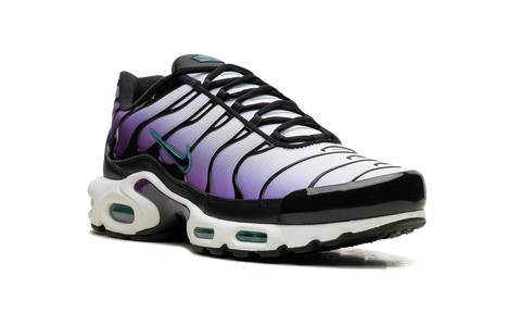 Nike Air Max Plus Reverse Grape