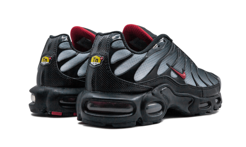 Nike Air Max Plus Blue and Red