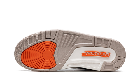 Jordan 3 Retro Desert Elephant